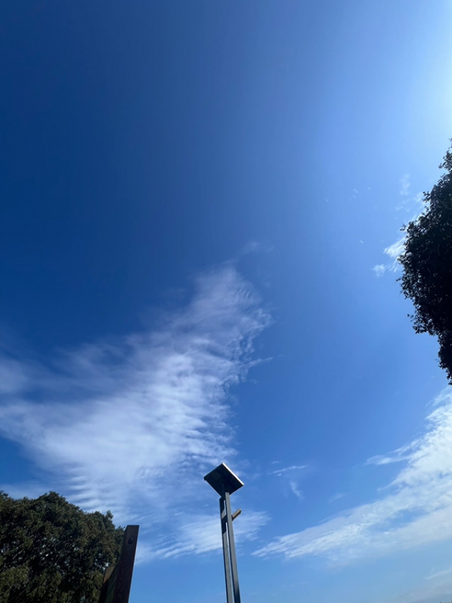 効率よく働ける！！